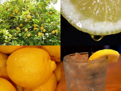 IMAGE: If life gives you lemons, make (some) lemonade. [If life gives you a lemon, (just) make (a) lemonade.]