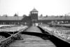 IMAGE: Everyone has their own "Auschwitz"; everyone has their own confrontation with this suffering that cannot be easily resolved. And that is the worst thing that has happened to the person in their lives.